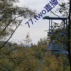 77.two直播 （插画）