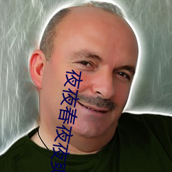 夜夜春夜夜爽