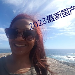 2023最新国产不卡顿