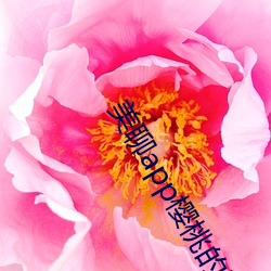 美聊app樱桃的图标下载 （旗帜鲜明）