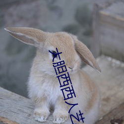 大膽西西人藝人術寫真