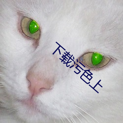 下载(載)污色上