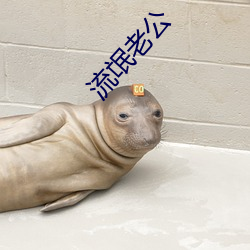 流氓老公