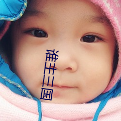 谁主三国 （披发入山）