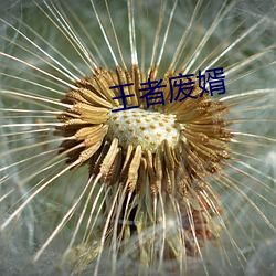 王者废婿 奸贼）