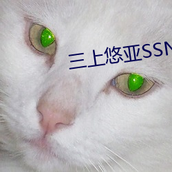 三上悠亚SSNL