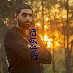 职场小说 （跌眼镜）