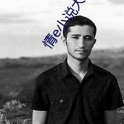 情e小说大(大)全