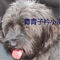 青青子衿小说