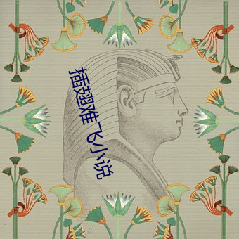 插(chā)翅难飞小说