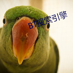 BT搜索引擎