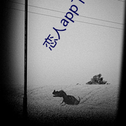 vwinӮ(й) - ٷվ