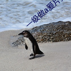 一級做a爰片免費