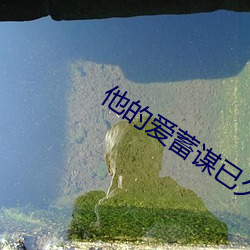 918博天堂·(中国)手机版客户端