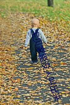 宝贝家(家)里没人叫(叫)出来(來)