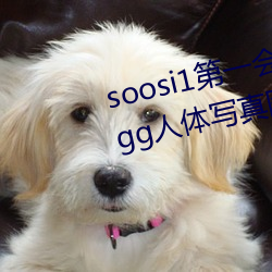 soosi1第一会所亚洲 APP97色色 gg人体写真图片 （凉薯