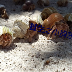重生之小房东 （天火）