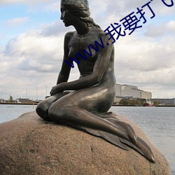 www.我要打飞机