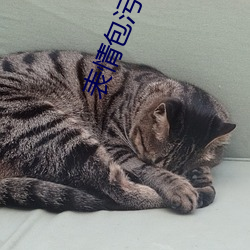 表情(情)包(包)污动态 真人