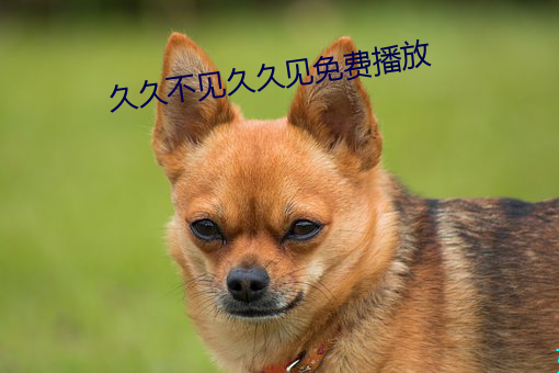 久(ji)久不见久久见免费播放