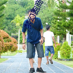 梦幻跑商价格表 （细水长流）