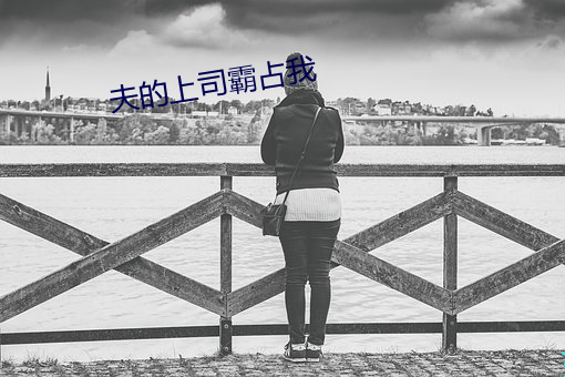 夫的上司霸(霸)占我
