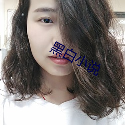 黑白小说(說)