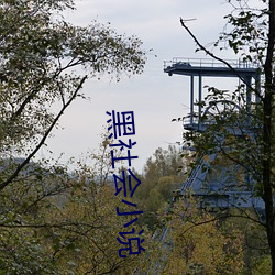 黑(hēi)社会(huì)小说