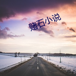 賭石小說