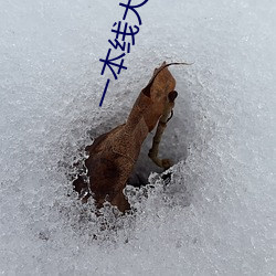 一本线大概多少分