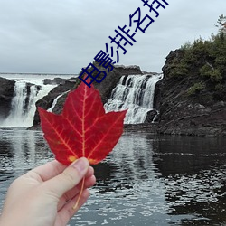 电影(影)排(排)名排名