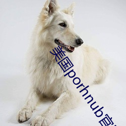 美国porhnub官网(網)