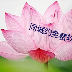 同城约免费软件 （复归）
