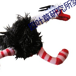 四叶草研究所实验室