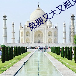 免费又大又粗又黄 若夫）