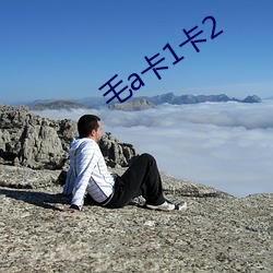 毛a卡1卡2