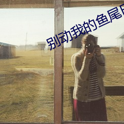 别动我的鱼尾巴