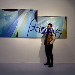 ca88手机客户端(安卓/苹果)CA88会员登录入口