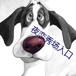 夜恋秀(秀)场入口
