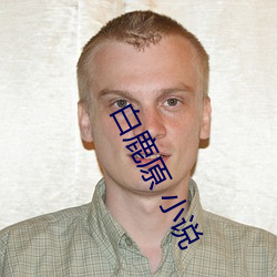 白鹿(lù)原(yuán) 小(xiǎo)说