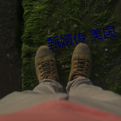 vwinӮ(й) - ٷվ