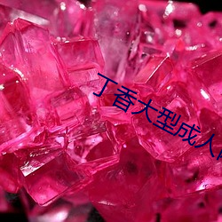 丁(丁)香大型(型)成人(人)网(網)