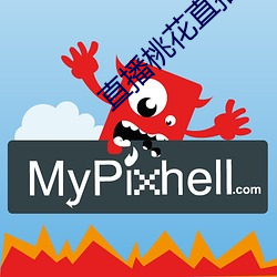直播桃花直播 （实力）