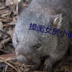 操闺女屄小说