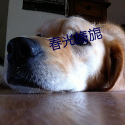 九游会登录j9入口 - 中国官方网站 | 真人游戏第一品牌