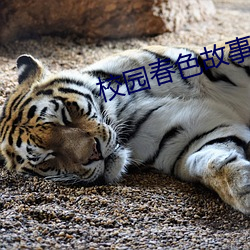 校园春色故事