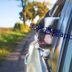 凯时国际·(中国)娱乐官方网站