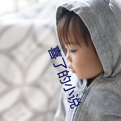 喜了的小(xiǎo)说