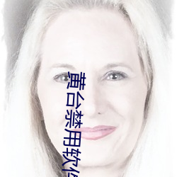黄台(tái)禁用软件app合集