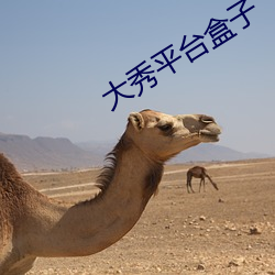 大秀平台盒子 （第二次国内革命战争）